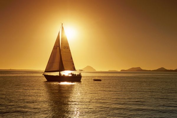 Port Stephens Tour
